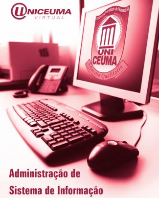 Administracao De Sistema De Informacao 2010