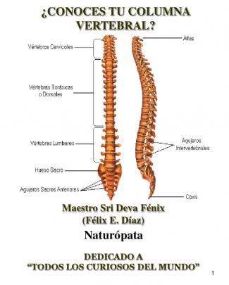 ¿conoces...tu Columna Vertebral?