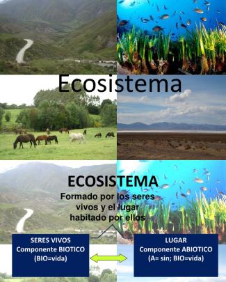 Bio Ecosistema