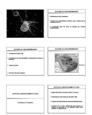 Sistema De Endomembranas