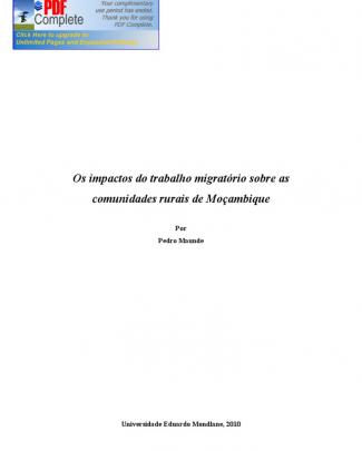 Os Impactos Do Trabalho Migratório Sobre As Comunidades Rurais De Moçambique