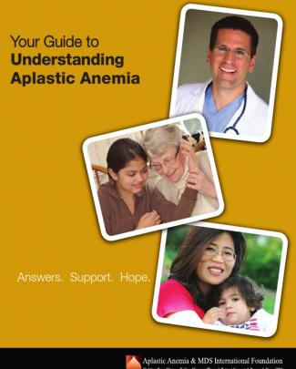 A Plastic Anemia Guide