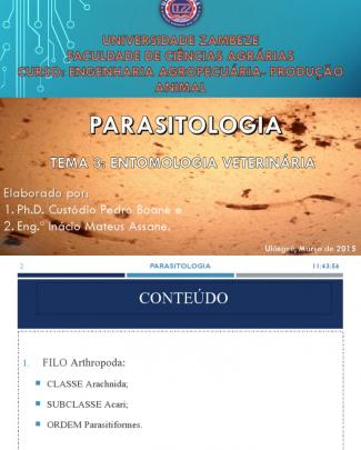 Entomologia Veterinária- Parte I