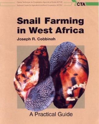 Snail Farming In West Africa