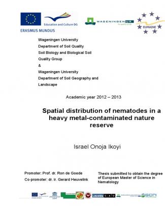 Spatial Distribution Of Nematodes In A Heavy Metal Contamibated Nature Reserve Thesis 2013