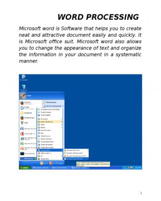 Ms Word