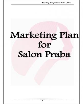 Marketing Plan For Salon Praba-120115083508-phpapp02