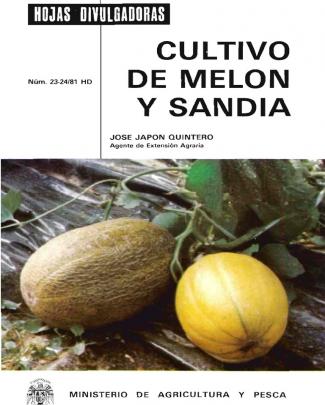 Cultivo De Melon