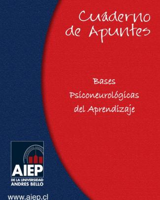 Bases Psiconeurológicas Del Aprendizaje