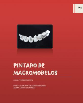 Pintado De Macromodelos