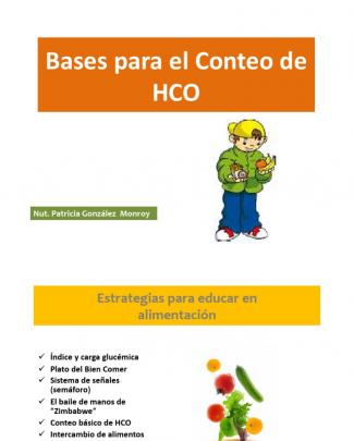 Bases Para El Conteo De Hco