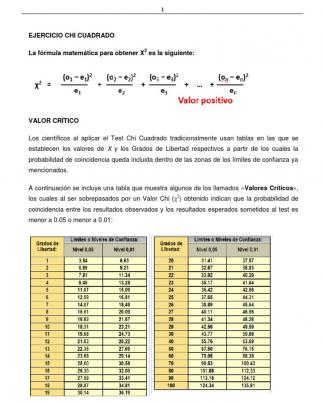 Ejercicio Chi Cuadrado