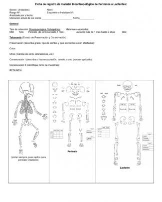 Fichas De Registro Bioantropológico