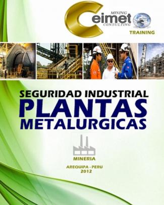 Proyecto De Seguridad En Plantas Metalurgicas