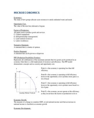 Ib Economics Exam Notes