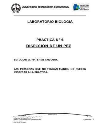 Practica 6 Diseccion Pez