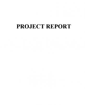 Ratio Analysis Project Report