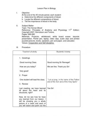 Detailed Lesson Plan Sample