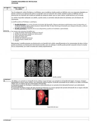 Cuadro Resumen De Patologia Celular