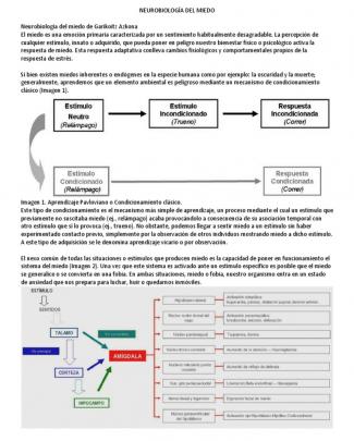 Neurobiología Del Miedo