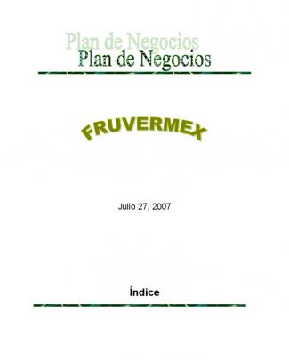 Plan De Negocios